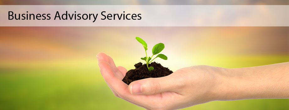 Business Advisory Services